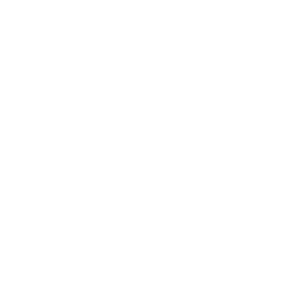 the LEGAL 500 logo